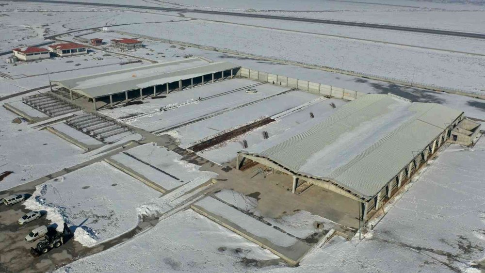 Altay: "Türkiye’nin en büyük hayvan pazarlarından birini yapıyoruz"