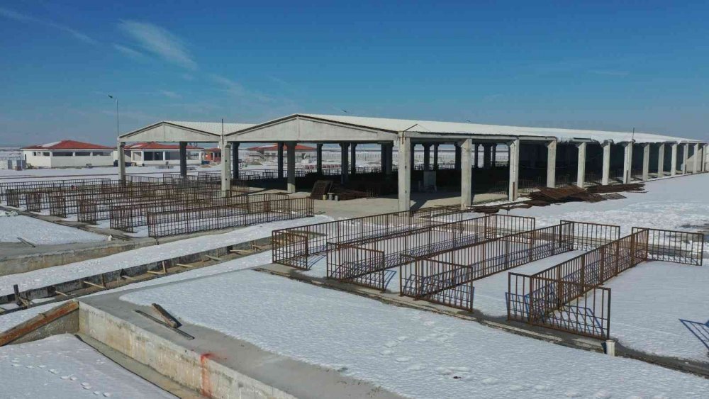 Altay: "Türkiye’nin en büyük hayvan pazarlarından birini yapıyoruz"