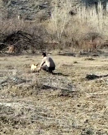 Elleriyle kedi besler gibi kurt besledi