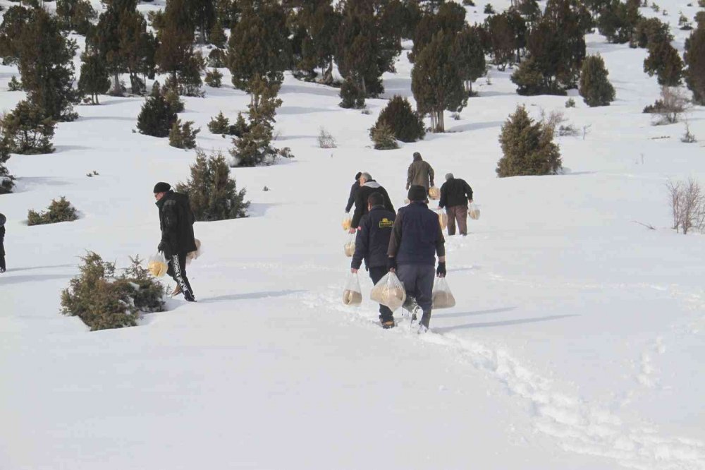 Ağır kış şartlarında doğadaki canlar unutulmadı