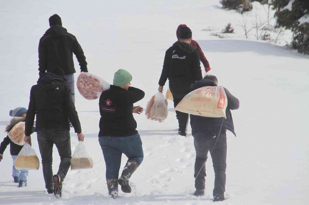 Ağır kış şartlarında doğadaki canlar unutulmadı