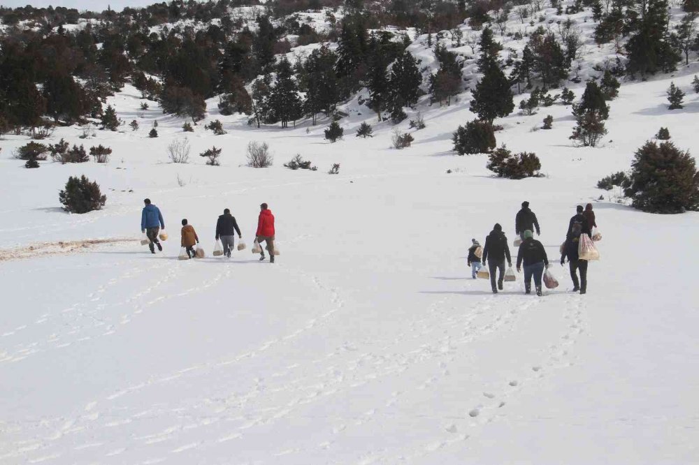 Ağır kış şartlarında doğadaki canlar unutulmadı