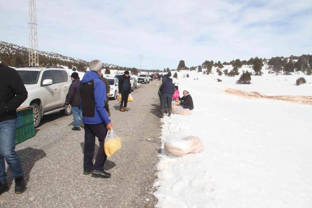 Ağır kış şartlarında doğadaki canlar unutulmadı