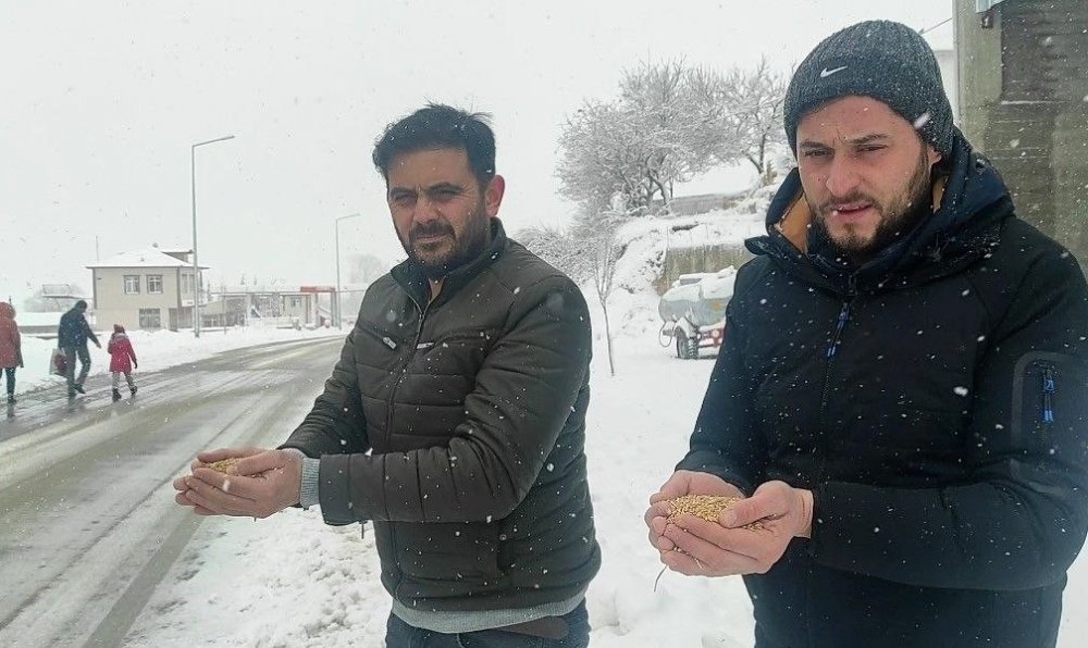 Un fabrikası çatısında onlarca güvercini besliyorlar