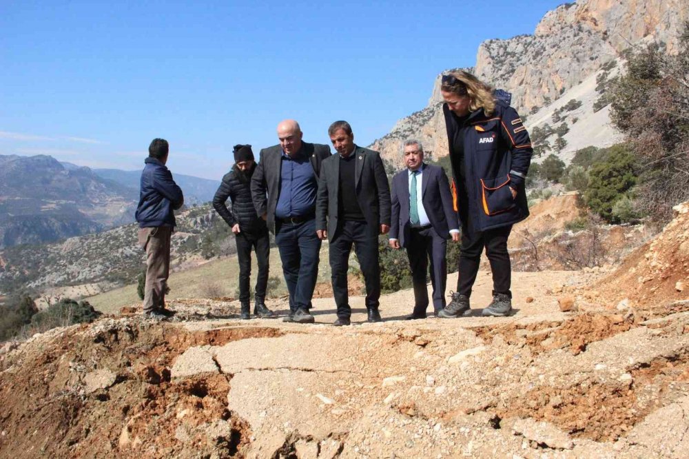 Heyelan zeytin ağaçlarını kökünden söktü