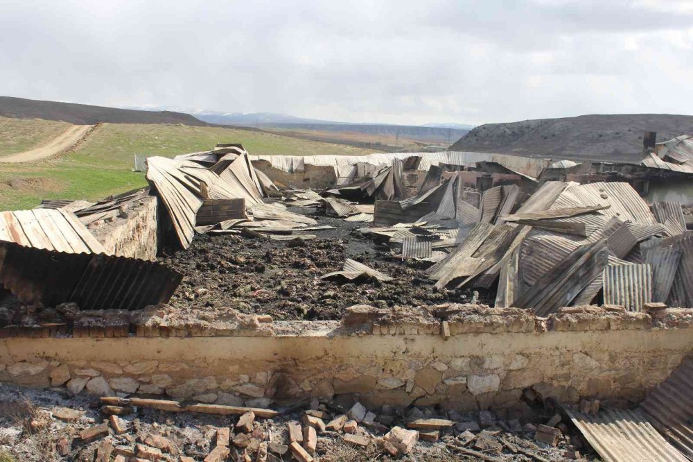 Çardakta çıkan yangında 600 koyun telef oldu! Kundaklama iddiası