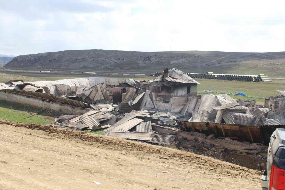 Çardakta çıkan yangında 600 koyun telef oldu! Kundaklama iddiası