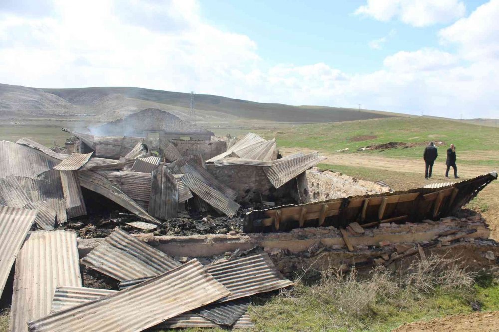 Çardakta çıkan yangında 600 koyun telef oldu! Kundaklama iddiası