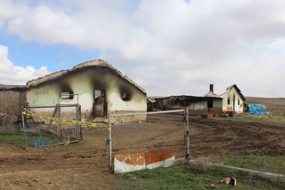 Çardakta çıkan yangında 600 koyun telef oldu! Kundaklama iddiası