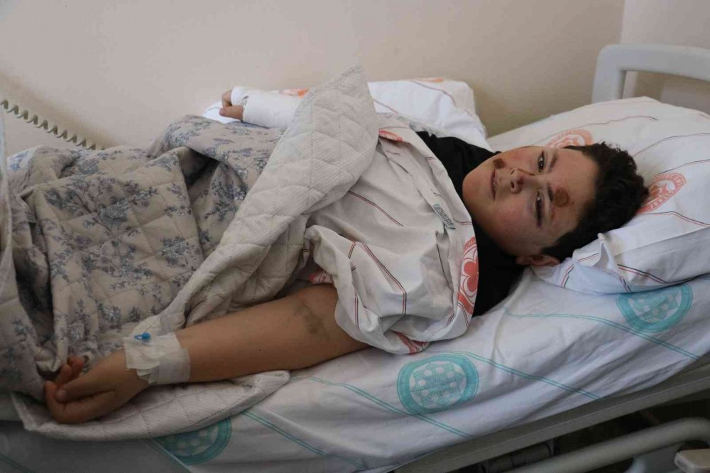 Acılı babadan “başıboş köpekler için tedbir alın” çağrısı