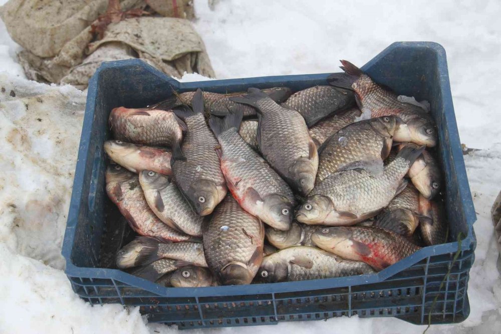 Beyşehir Gölü’nde su ürünlerini avlanma yasağı başladı