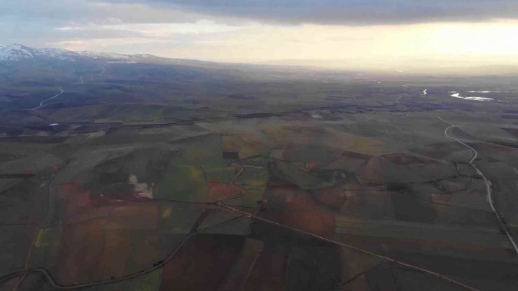 Devlet desteği çiftçinin yüzünü güldürdü, yüzde 75 hibeyle 500 ton tohum dağıtıldı