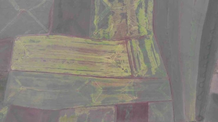 Devlet desteği çiftçinin yüzünü güldürdü, yüzde 75 hibeyle 500 ton tohum dağıtıldı