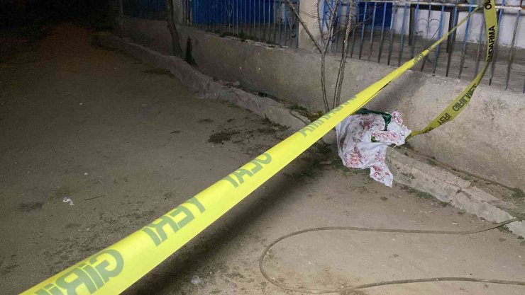 Abisinin hastalığı için geldi, annesini ve abisini öldürerek intihar etti