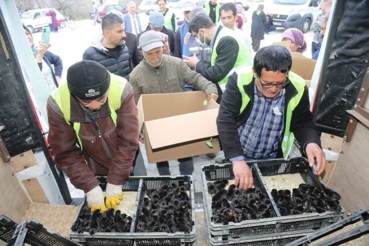 Ereğli Belediyesinden üretime destek