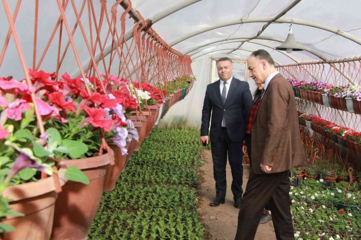 Başkan Saygılı: "Çiçek seraları bütçemize tasarruf sağlıyor"