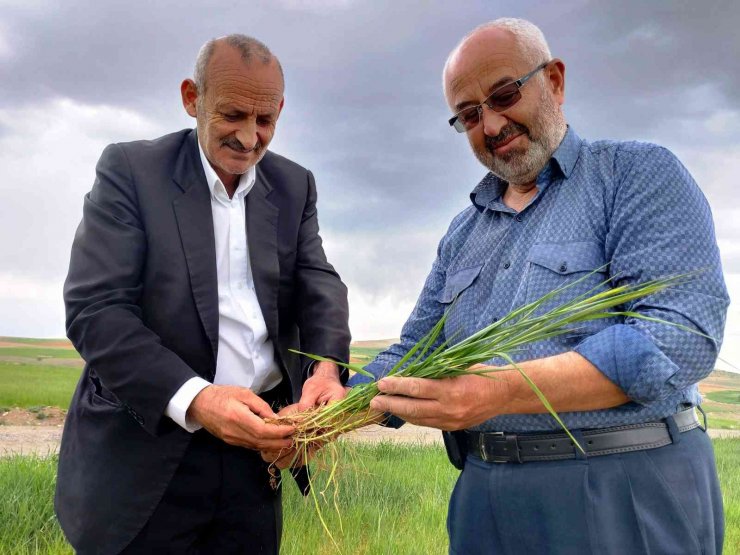 Konya Ovasında çiftçilerin gözü son yağışlarda