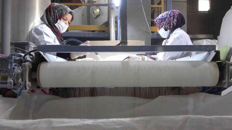 Mineral deposu Delice tuzu dünya sofralarında: 10 ülkeye ihraç ediliyor