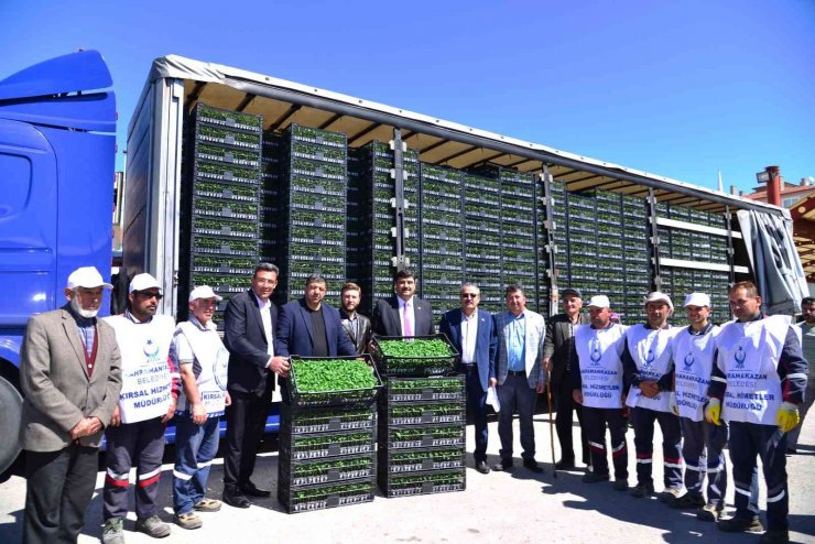 Kahramankazan’da çiftçilere 1 milyon 200 bin sebze fidesi dağıtıldı