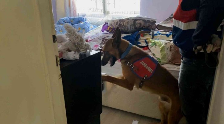 Banyoda boya kovalarında kenevir üretimine jandarma darbesi