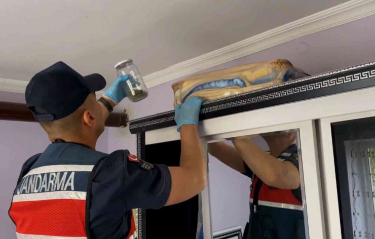 Banyoda boya kovalarında kenevir üretimine jandarma darbesi