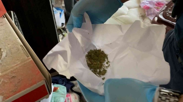 Banyoda boya kovalarında kenevir üretimine jandarma darbesi
