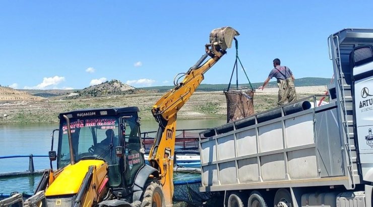 Bozkırın ortasında Yozgat’ta üretiliyor, Denizli’de işlenip Uzak Doğu ve Avrupa ülkelerine ihraç ediliyor