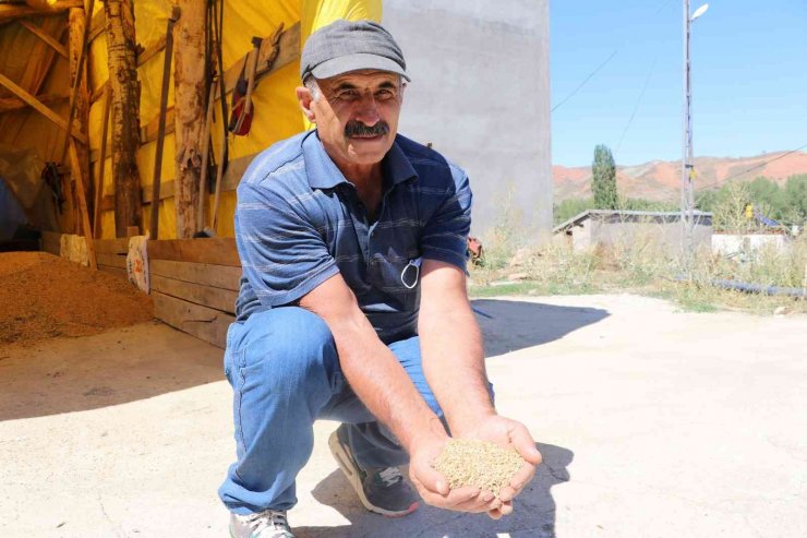 Başkan Çetindağ: “700 ve 800 bin arasında bir rekolte bekliyoruz”
