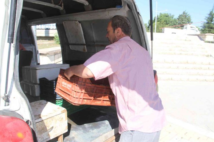 Beyşehir Gölü’nde su ürünleri av yasağı sona erdi