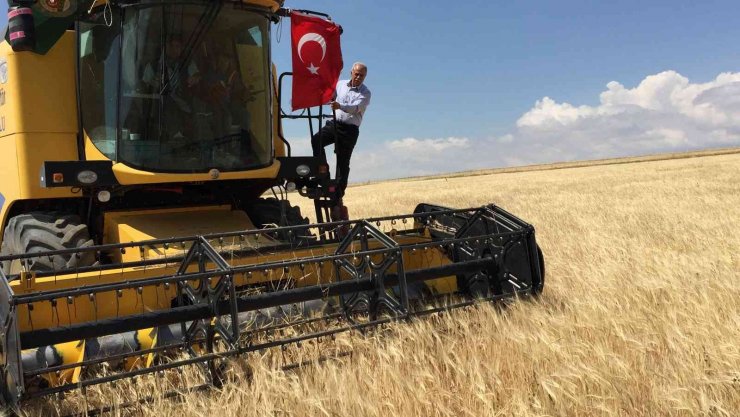 Kulu’da 2022 yılının ilk arpa hasadı başladı