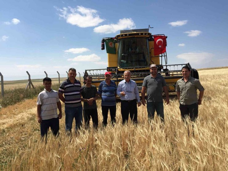 Kulu’da 2022 yılının ilk arpa hasadı başladı