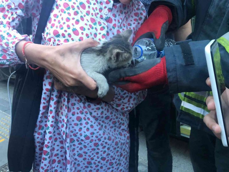 Duraktaki tramvayın altına kaçan kediyi itfaiye çıkarttı