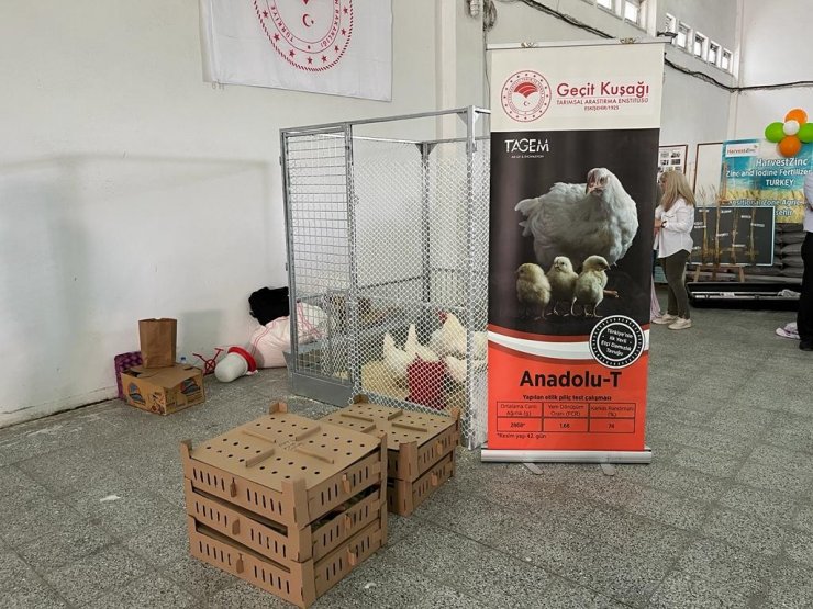 ‘Anadolu-T’, Tarla Günü’nde görücüye çıktı
