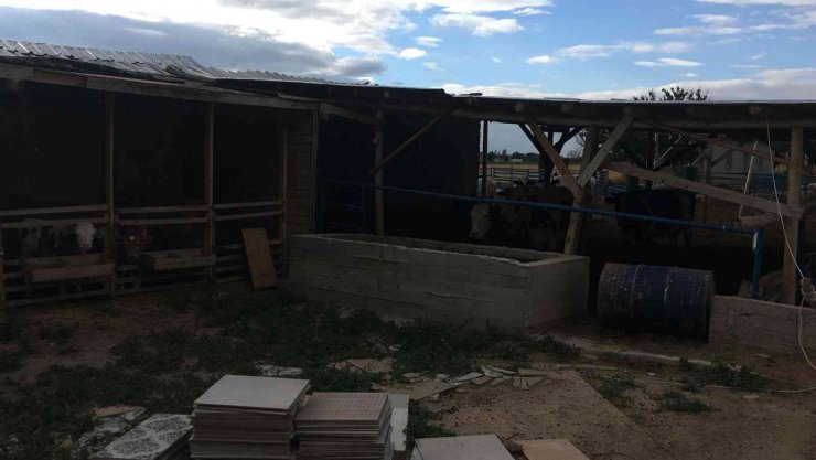 Kurban Bayramı öncesi besicileri 2 milyon 500 bin TL dolandıran şüpheliler tutuklandı