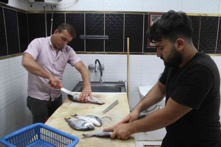 Beyşehir Gölü ailelerin ekmek kapısı oldu