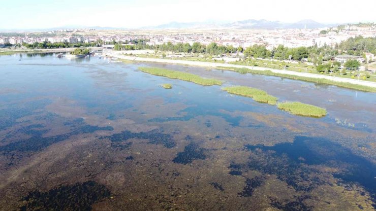Beyşehirli balıkçılar kerevit için “rastgele” dedi