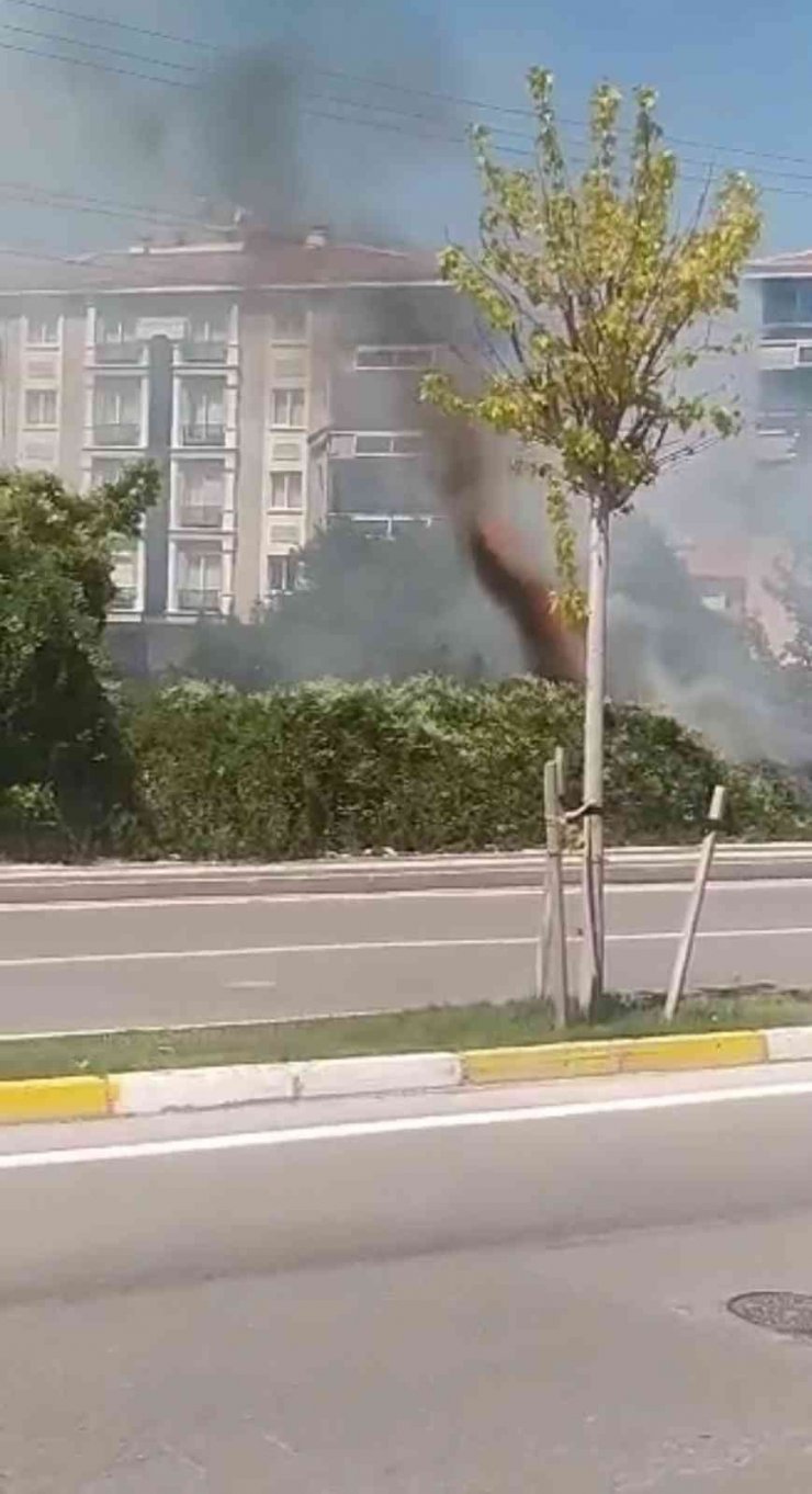 Elektrik direğindeki kablolar havai fişek gibi patladı