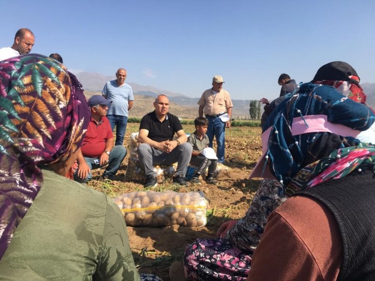 Vali Koç, çiftçilerle patates hasadı yaptı