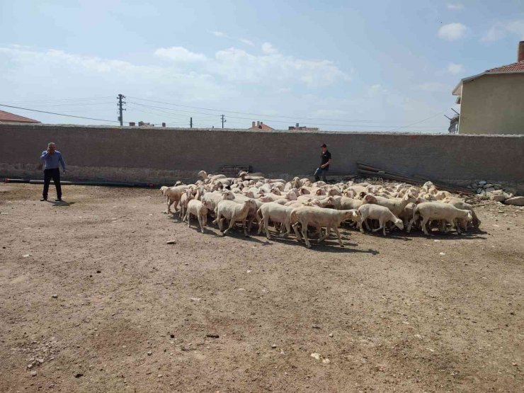 Eskişehirli üreticilere 797 bin 95 TL hibe verildi