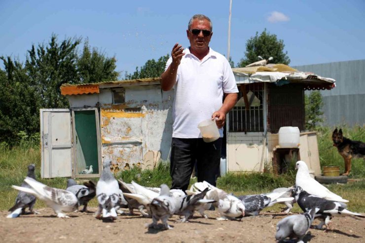 Hobi sektöre dönüştü, birçok aile bundan geçimini sağlıyor