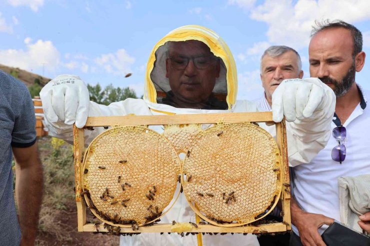 Sivas bal üretiminde zirvede