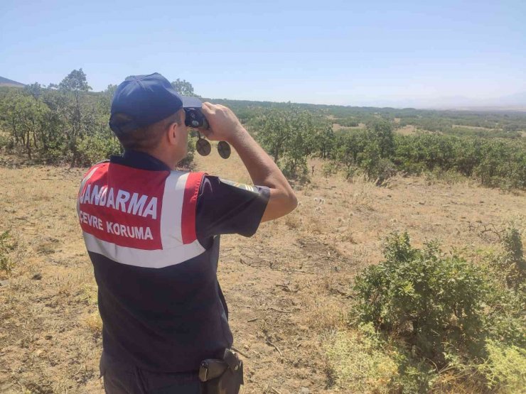 Orman yangınlarına karşı jandarma önlemi