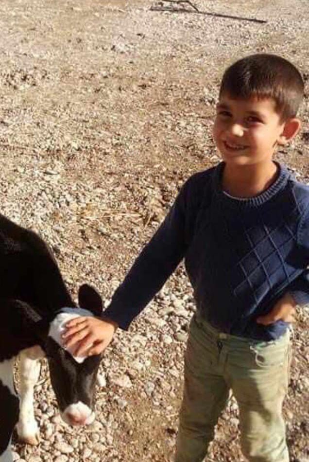 Köpeklerin saldırısında ağır yaralanan çocuk gözlerini açtı