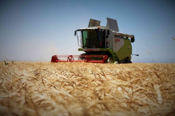 Tahıl ambarı Konya Ovası’nda beklenen rekolte artışı çıktı