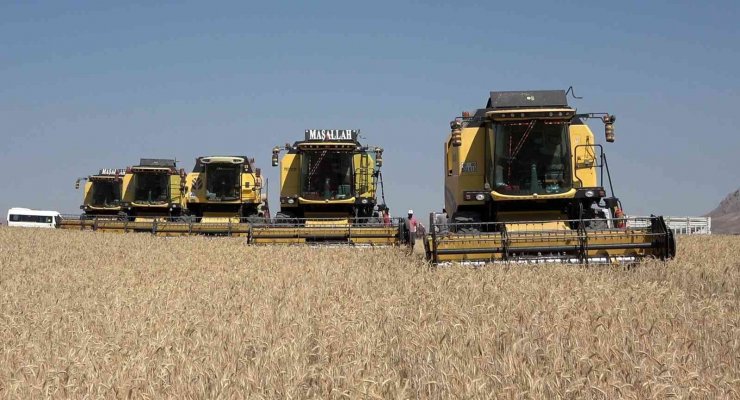 TMO, Sivas’ta Cumhuriyet tarihinin en yüksek alımını yaptı
