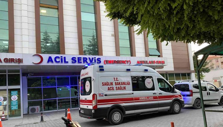 Ceviz hasadı yaparken ağaçtan düşen yaşlı adam hastanelik oldu