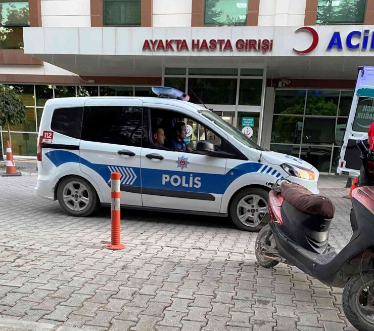 Ceviz hasadı yaparken ağaçtan düşen yaşlı adam hastanelik oldu