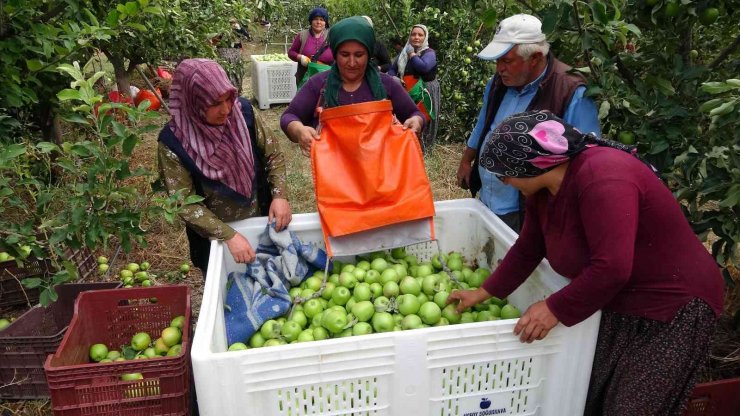 İşsizliği bitiren bu köy, il ve ilçelerden göç alıyor