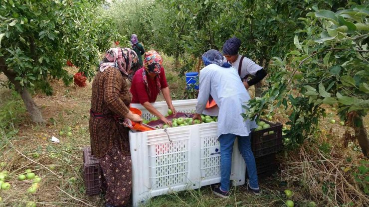 İşsizliği bitiren bu köy, il ve ilçelerden göç alıyor