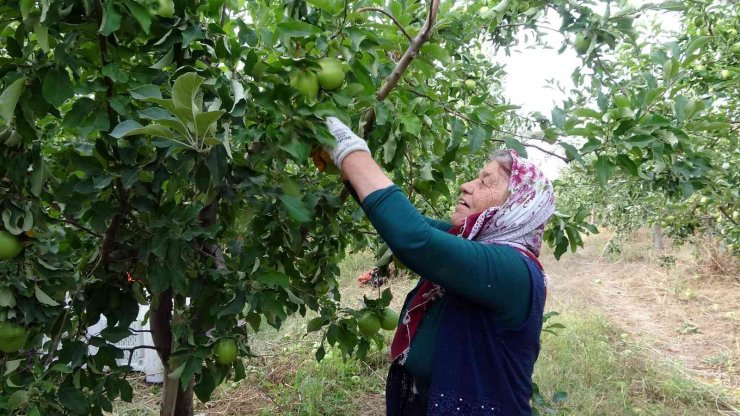 İşsizliği bitiren bu köy, il ve ilçelerden göç alıyor